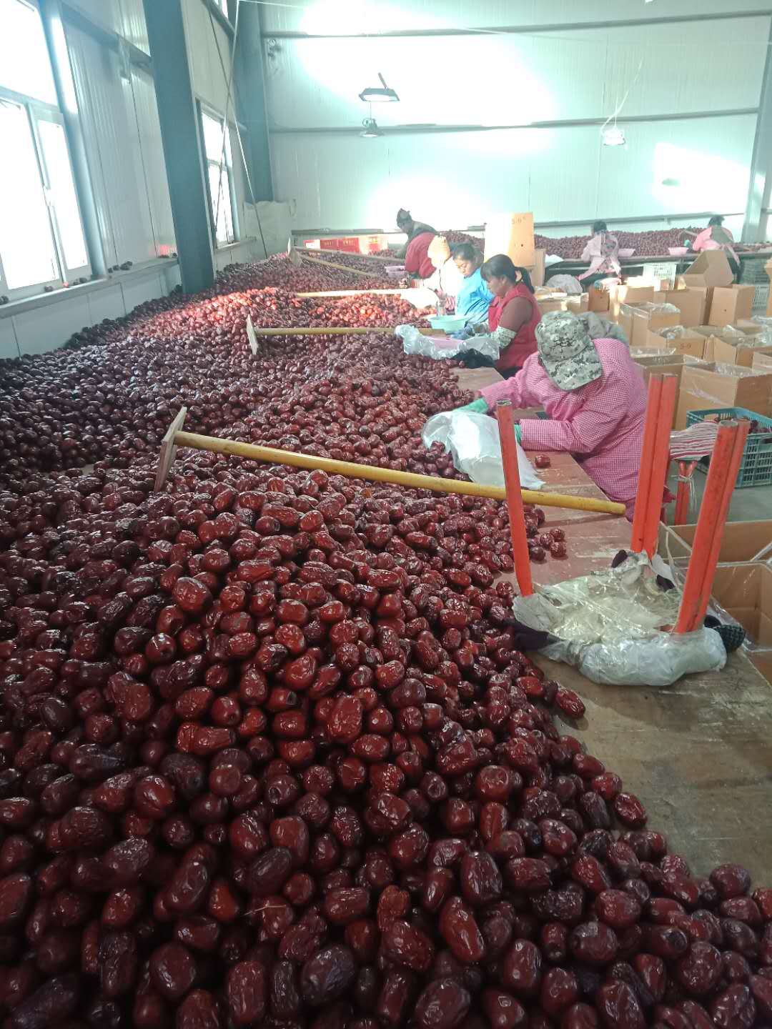 世间有和田枣，我就是吃不厌