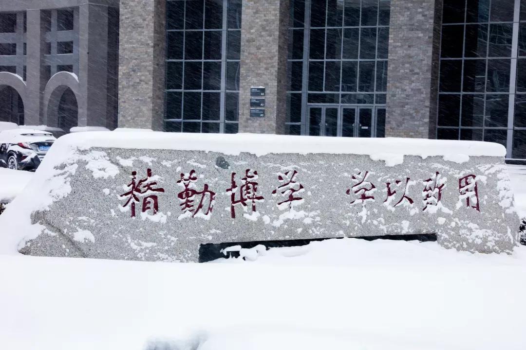 辽宁省民办大学（二）大连东软信息学院