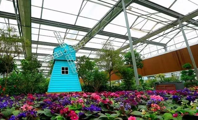 五一北京适合小孩玩的地方植物园,北京夏天带娃避暑最佳旅游地