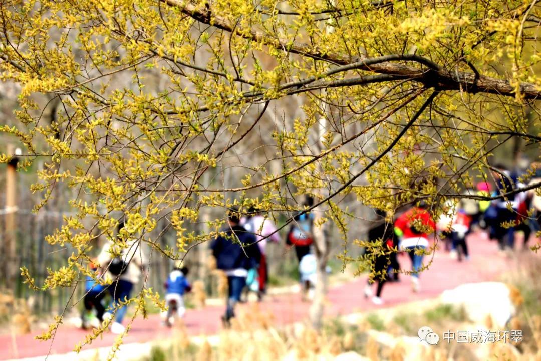 走进春天的环翠公园,环翠景色
