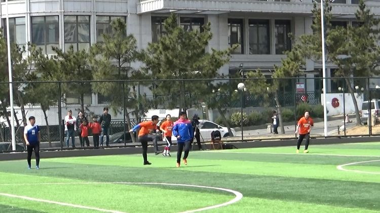 大连三鼎春天视频,大连三鼎春天怎么样