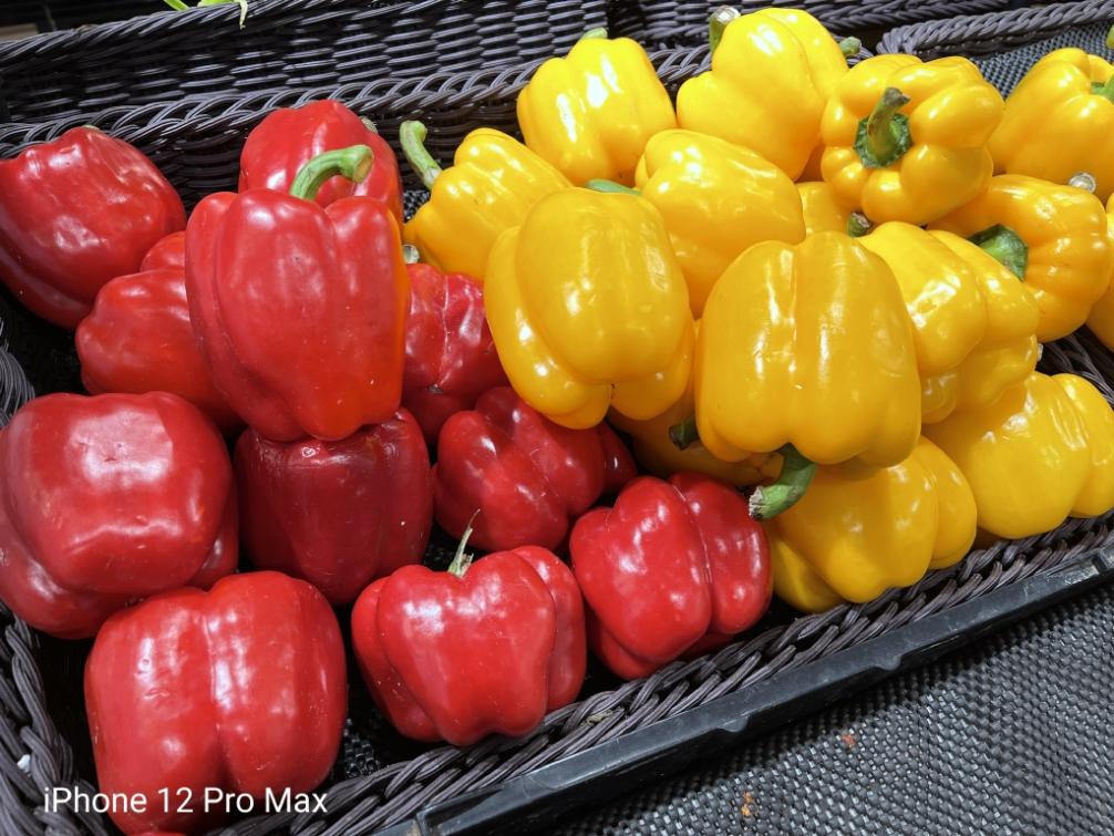 五大旗舰拍照速度实测,五大旗舰机拍照横评