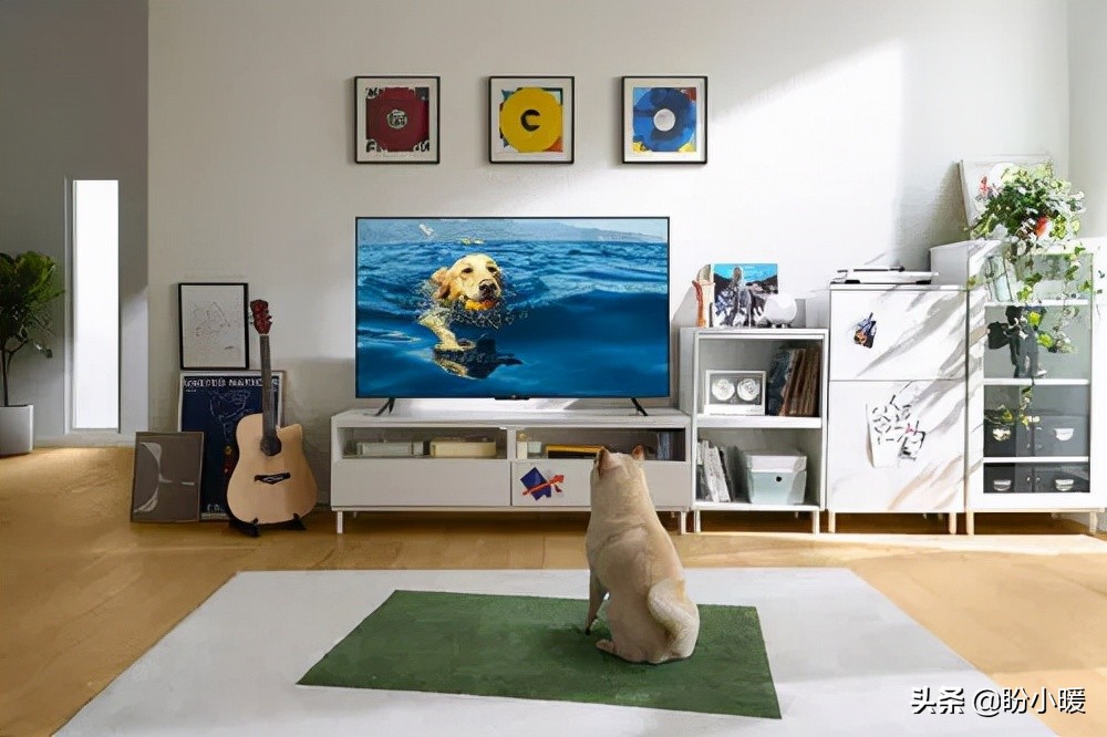 装光纤宽带可以看电视吗,装什么宽带能看电视直播