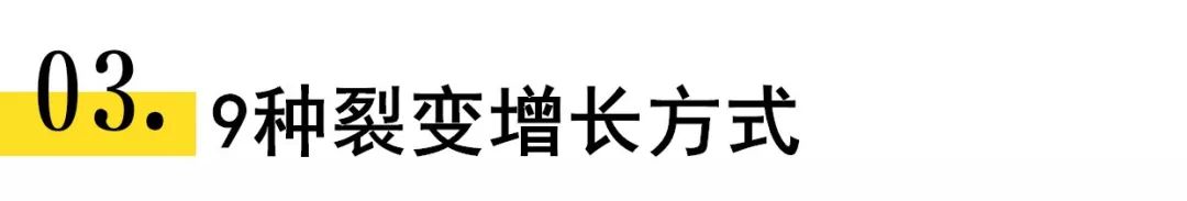 裂变涨粉设计方案,套路裂变吸粉