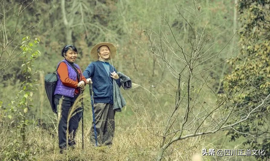 值得看的电影春天,春天的电影名字