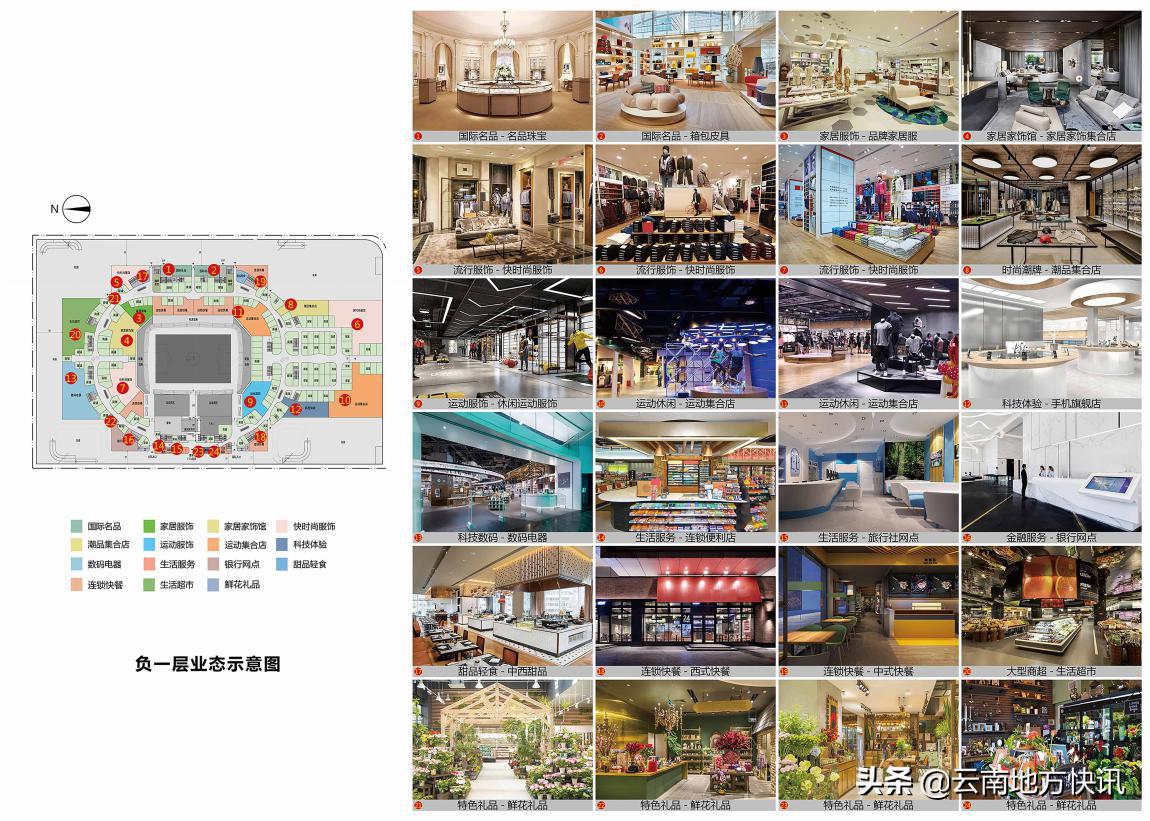 最美荷花争相怒放,最美荷花绽放的整个过程视频