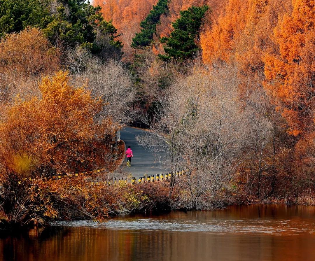 东北三省最适合宜居的城市,东北三省宜居养老城市