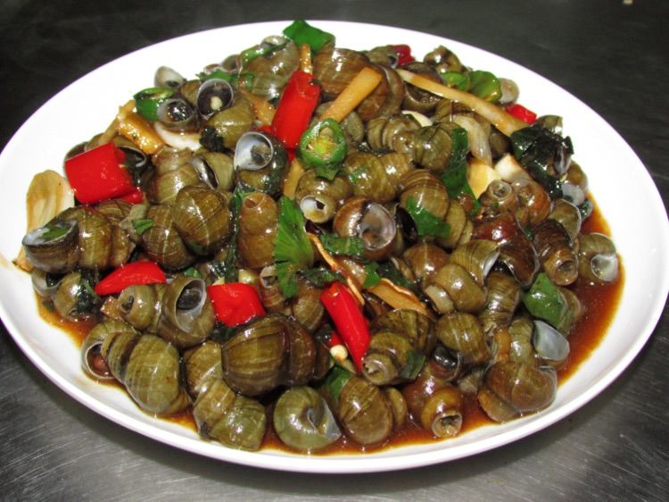 炒田螺时候，总是洗不干净？学会这一招，螺肉鲜嫩没有沙！