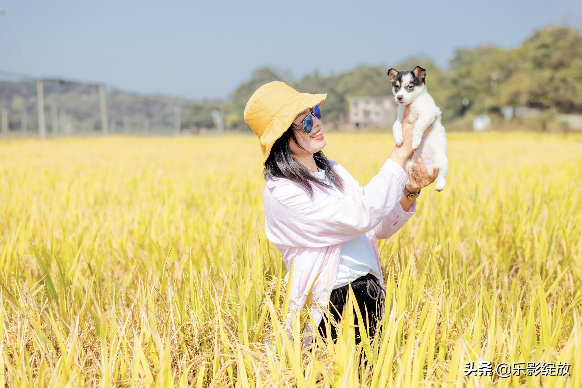 带小花狗去野外生存,带着小花去兜风