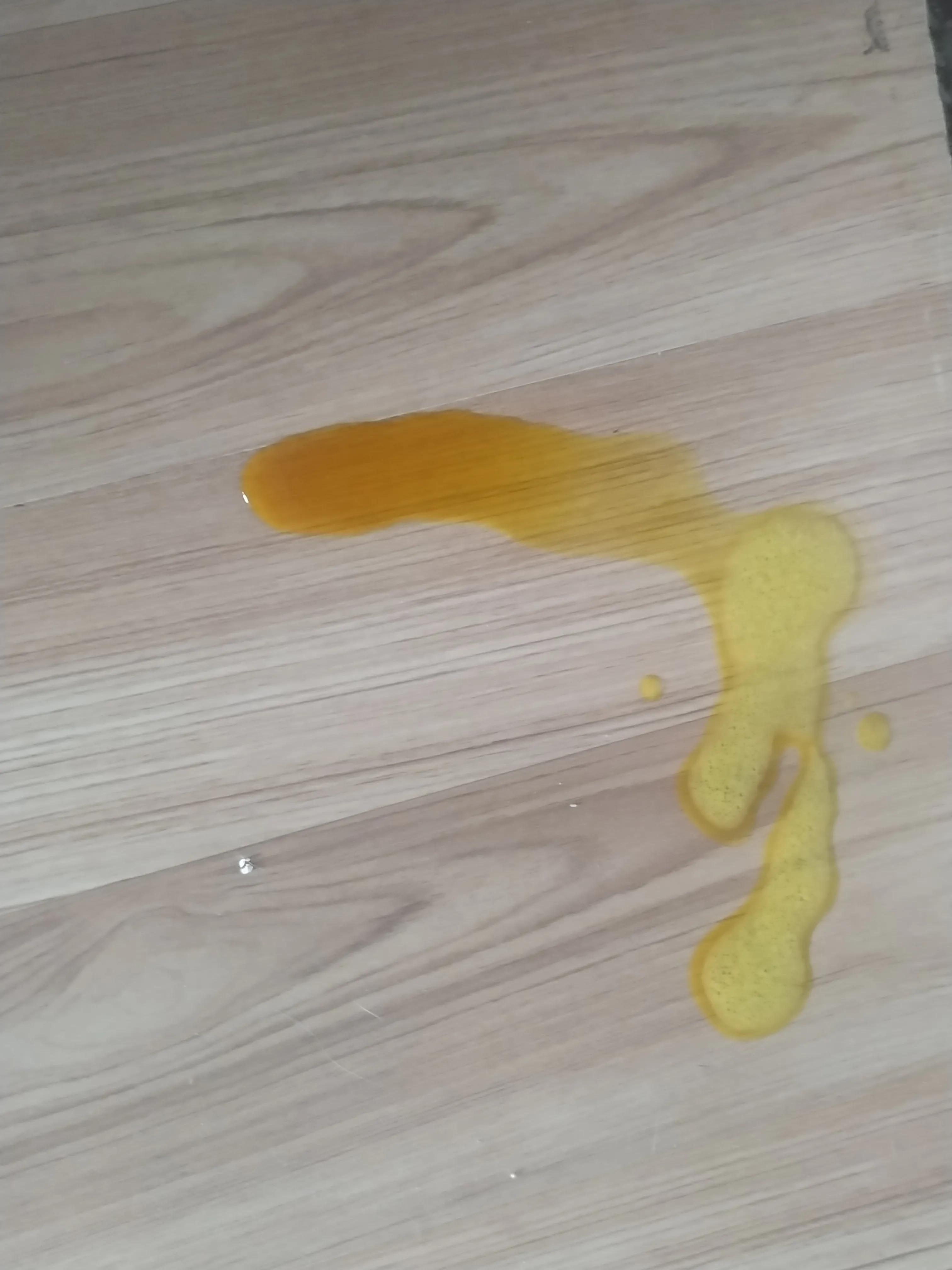 与猫瘟抗争,与它