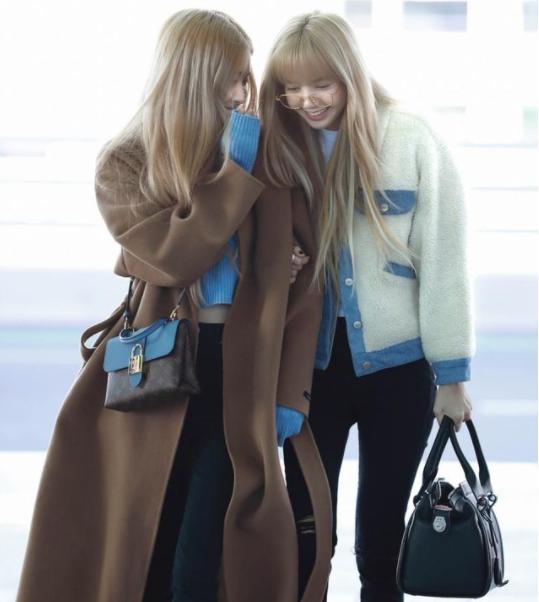 上万的加拿大鹅,一万块的加拿大鹅是真的吗