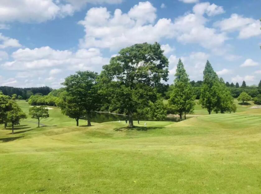 游记｜来自香港、上海、深圳的7位贵宾：挥杆关东世界百佳...