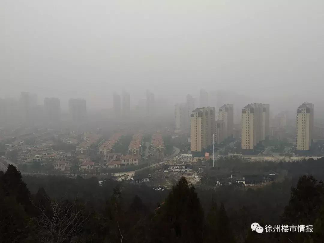 徐州森林公园,徐州森林公园开放时间最新