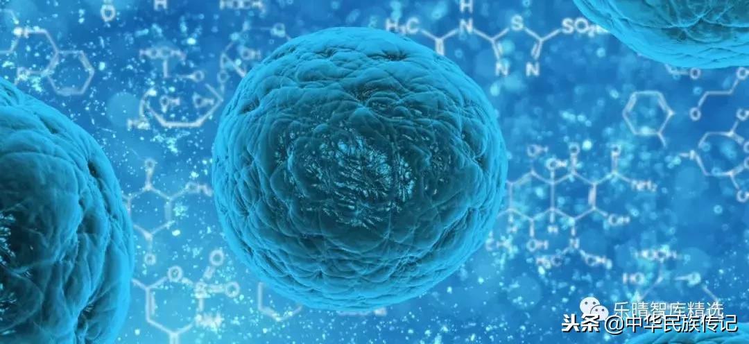 中国单抗药物发展,单抗药物未来的发展