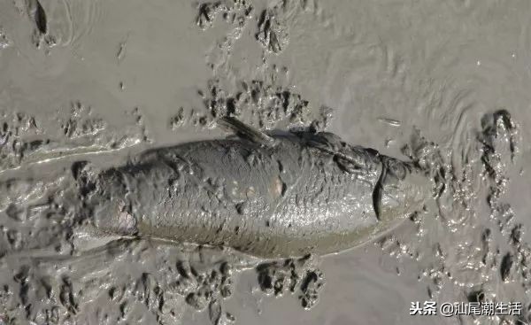 汕尾陆河农村,广东汕尾陆河新农村