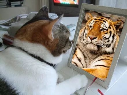 收款码付款码傻傻分不清,收款码和收银机账目不对