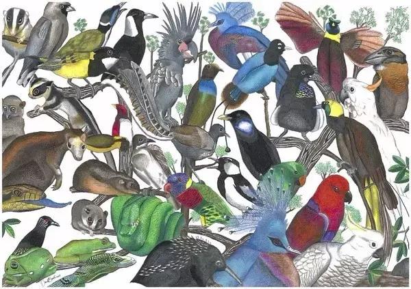 那些在纸上画画的神奇小孩,盘点那些年纪小画技超群的孩子