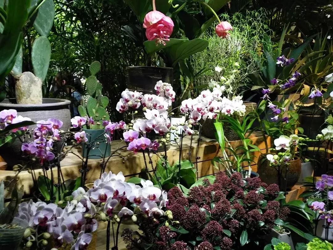 国内最治愈安静的地方,北京小众又文艺的地方