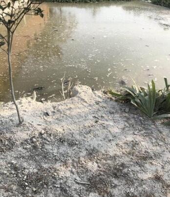 夜钓怎样防蛇进身边,夜钓防蛇最简单方法