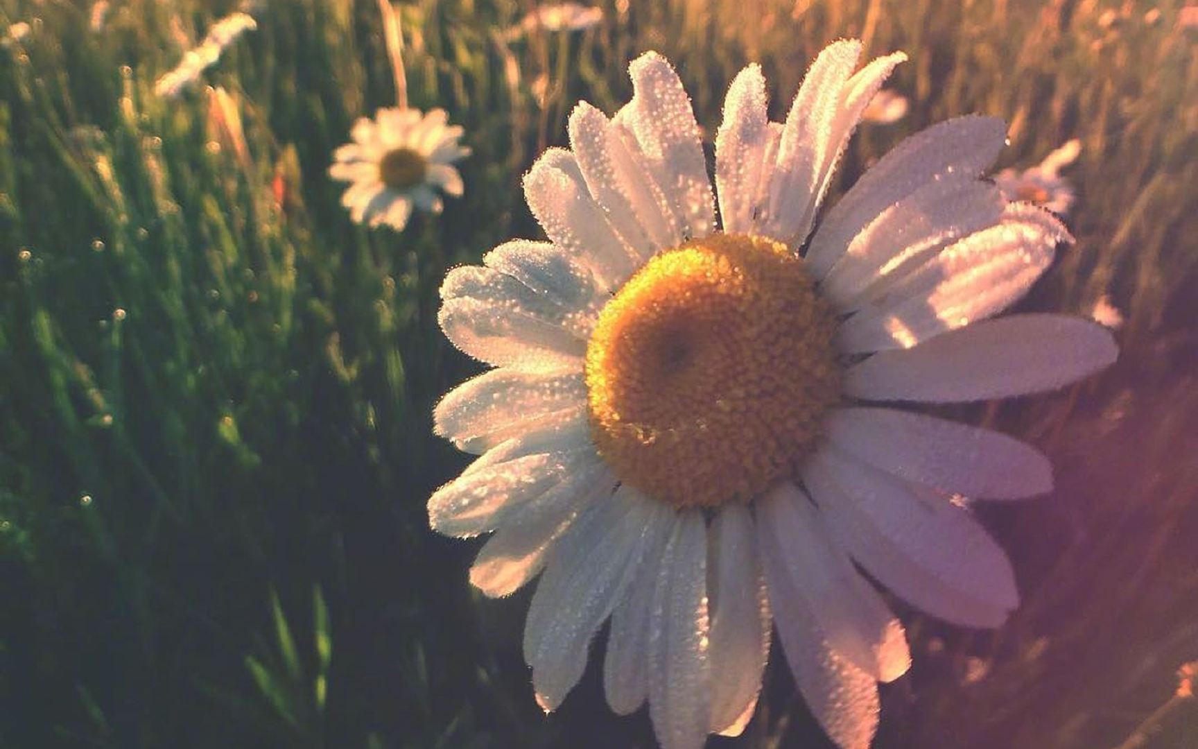 孕妇感染hpv还可以喂奶吗,感染hpv39tct正常备孕怎么办