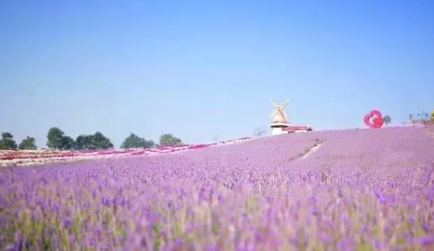 惠州龙门尚天然温泉小镇怎么样,惠州龙门尚天然温泉小镇童话乐园