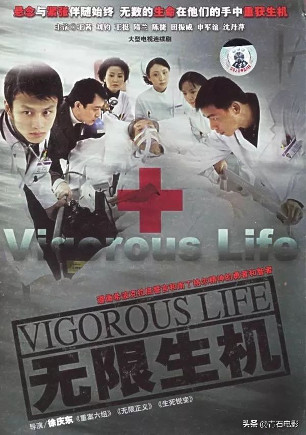 吴秀波张嘉译陶虹演的电视剧是啥,陈小艺张嘉译陶虹主演的电视剧