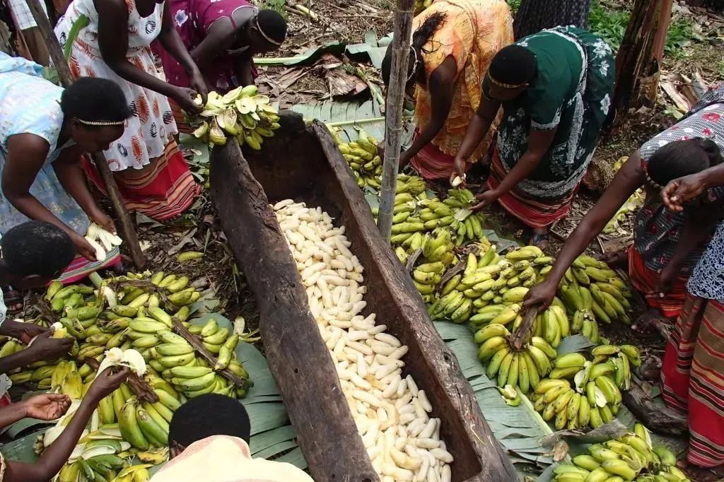 椋熺勃鑰呬笉鍏ヤ镜,椋熶箣鏃犺嚟寮冧箣鍙儨