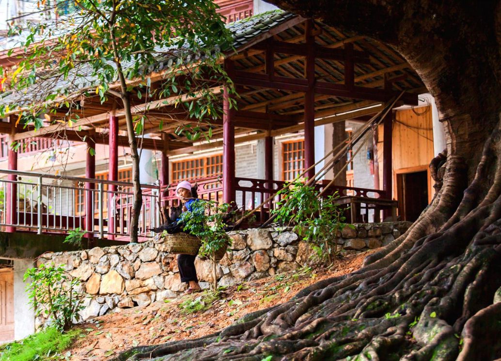 去云南自驾游有哪些景点最美,云南最美打卡景点