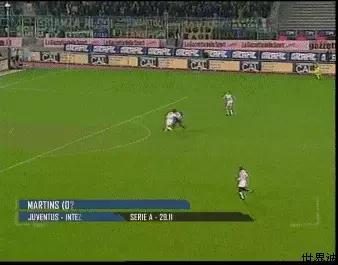 还记得马丁斯吗？那只在梅阿查和圣詹姆斯公园翱翔的雄鹰