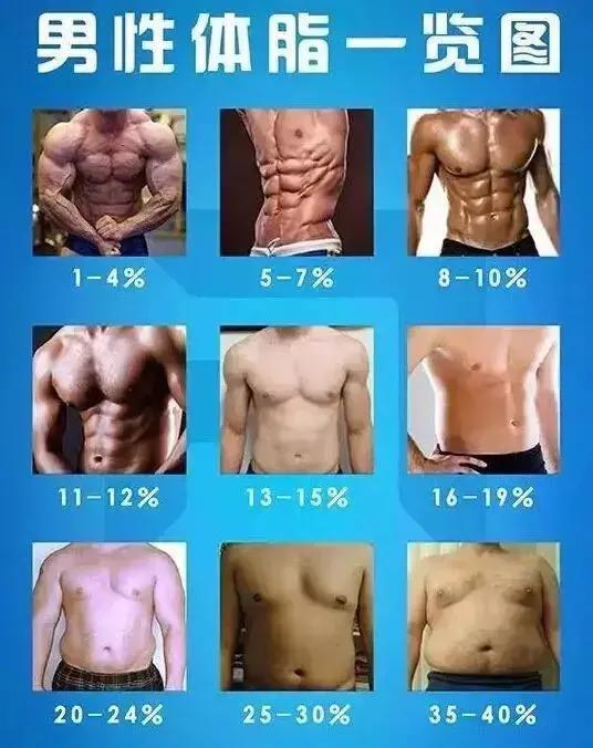 瘦胖子到底应该怎么减脂,瘦胖子的正确减肥方法