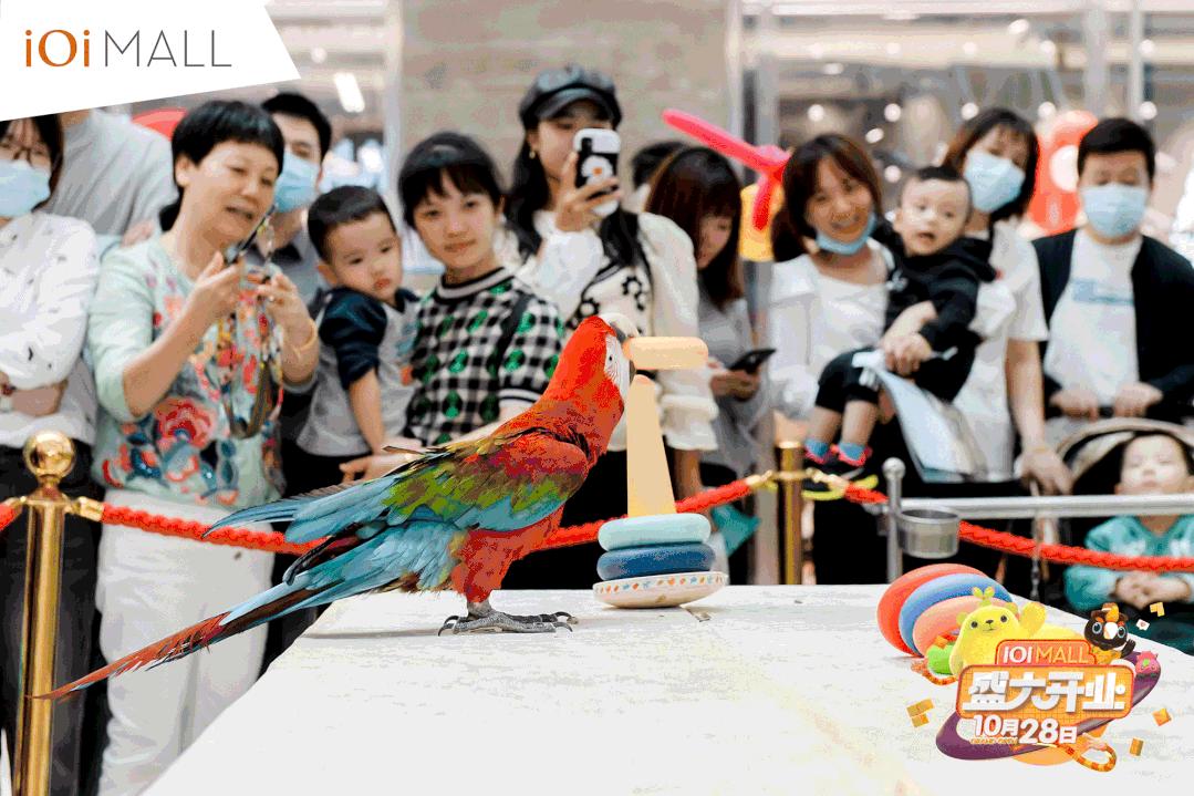 厦门ioimall有什么玩的,厦门ioimall入驻品牌