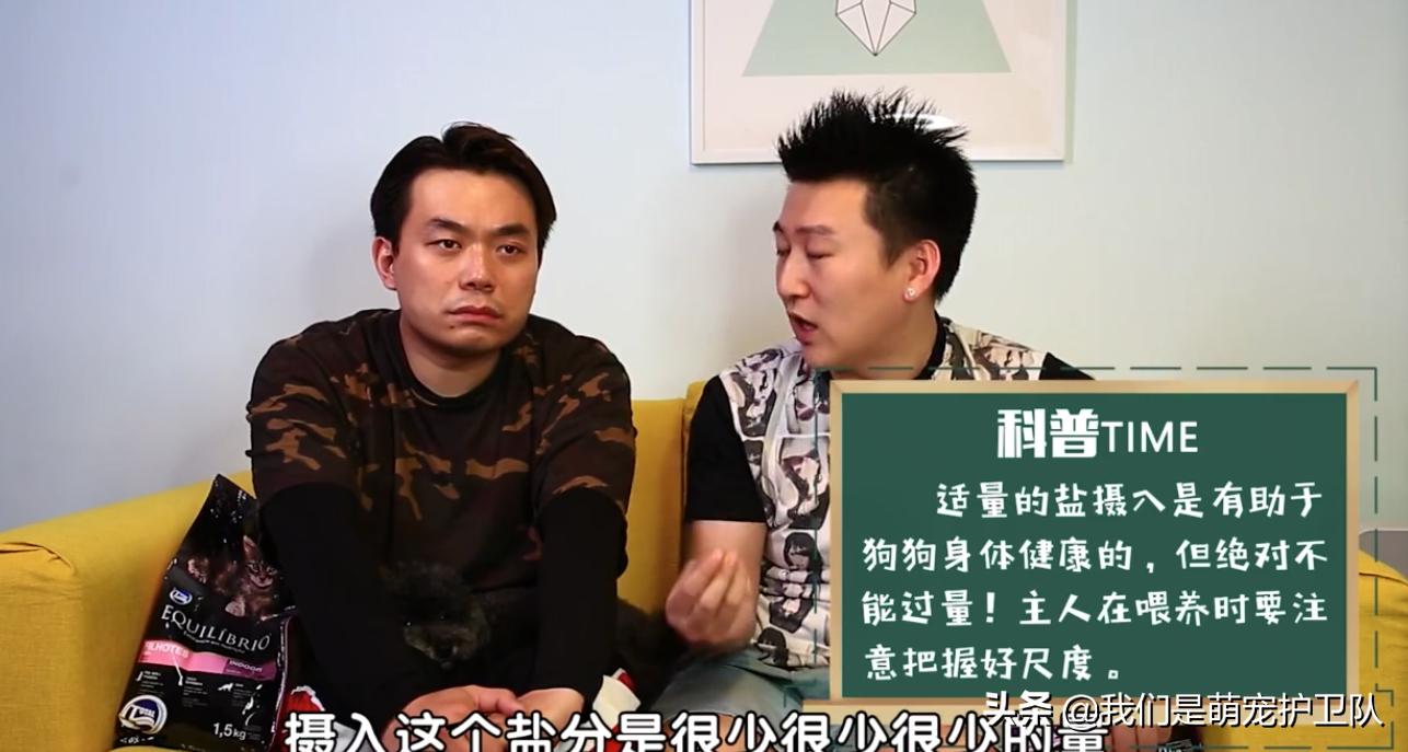 自制猫粮比购买的猫粮好吗,平民猫粮自制狗粮配比表