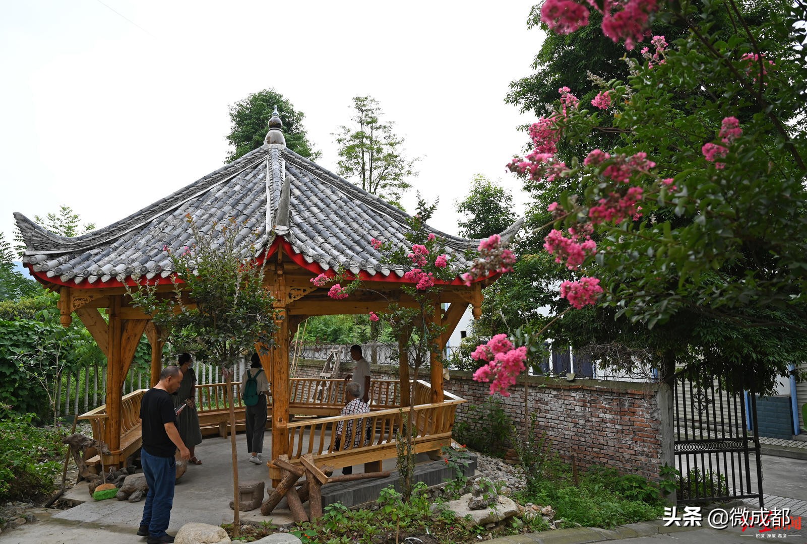 前后历时3个多月！成都68岁大爷自掏腰包亲手为小区打造4米多高的凉亭