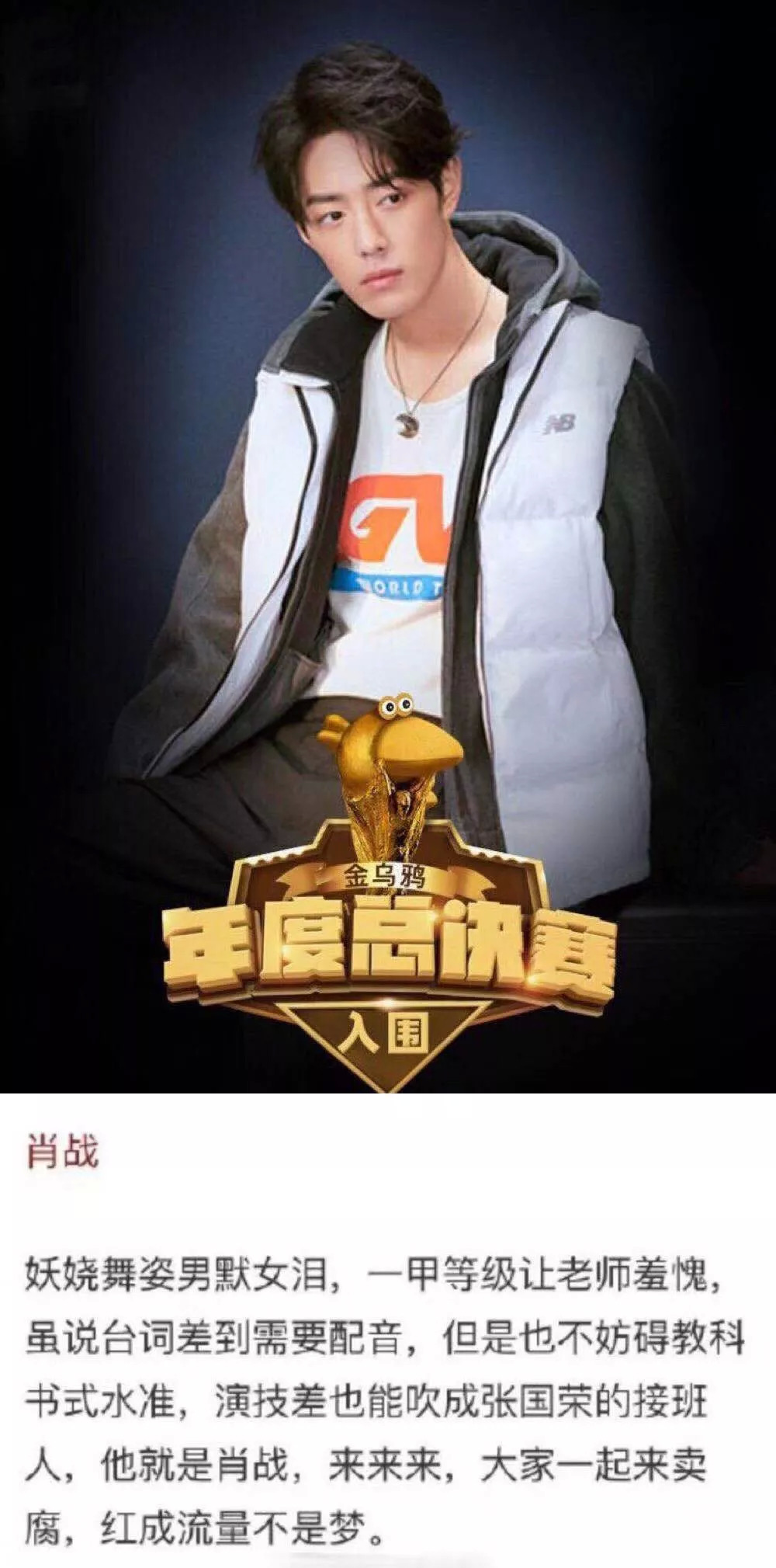 金乌鸦视频,金铲铲乌鸦现状