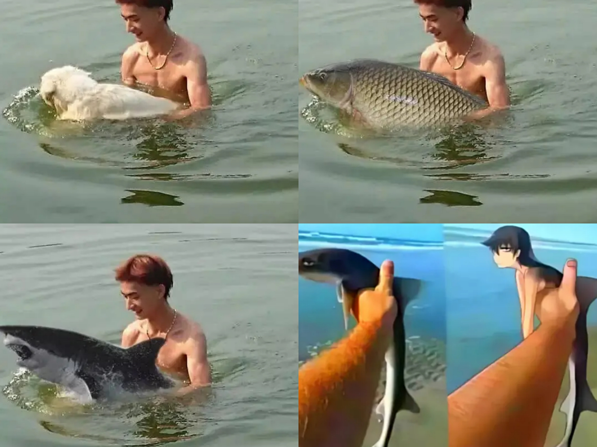 鹿晗二次元照片,当鲨鱼遇到大神鹿晗