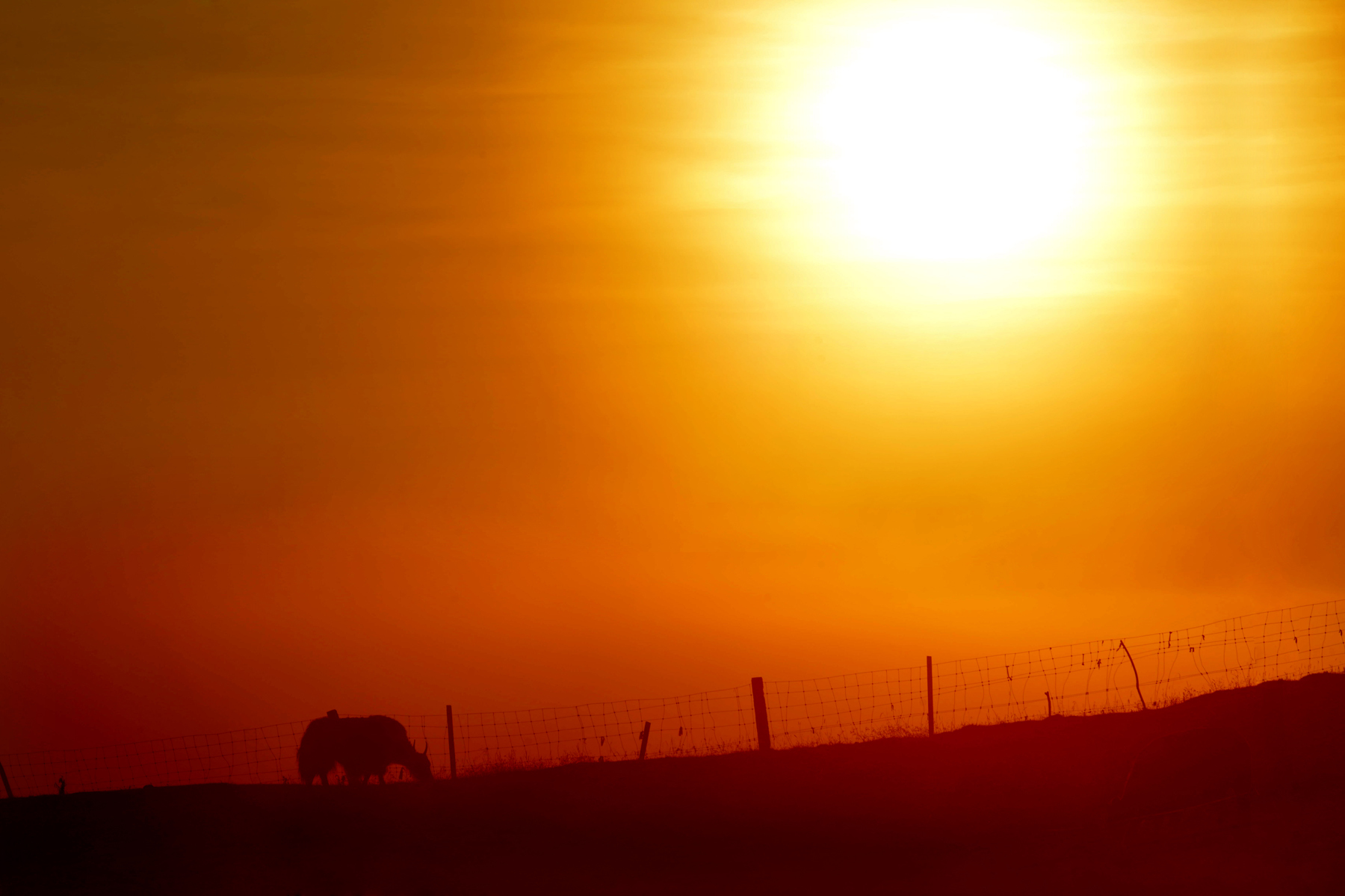 自驾从成都到红原草原旅游攻略,成都自驾若尔盖草原视频