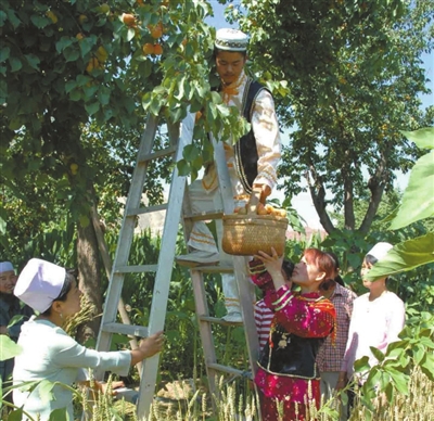 花卉产业助力临夏乡村旅游,“花儿”经济掀起甘肃临夏旅游热