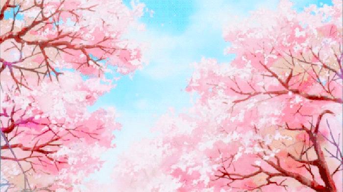 妈呀，今年大创的樱花限定也太好看了吧！