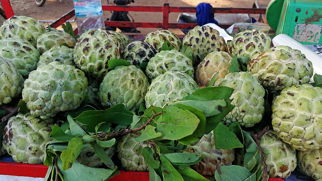 柬埔寨都有啥水果和特产,柬埔寨那些奇葩水果
