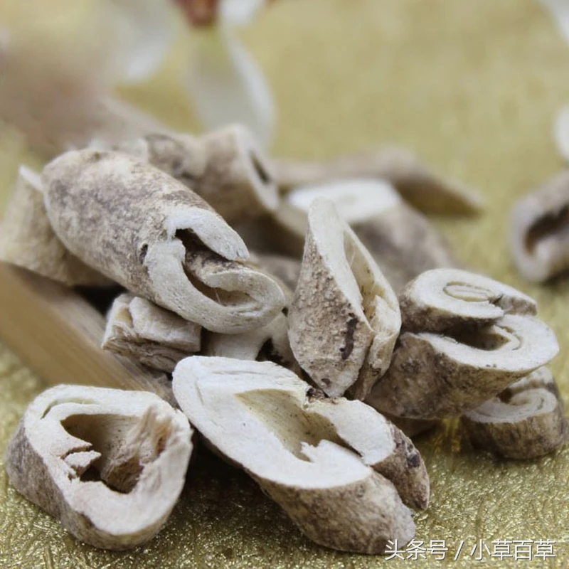 治疗皮肤瘙痒经常用上这2味中草药