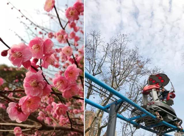 上海杨浦区最新发展规划,大局已定未来五年咋样