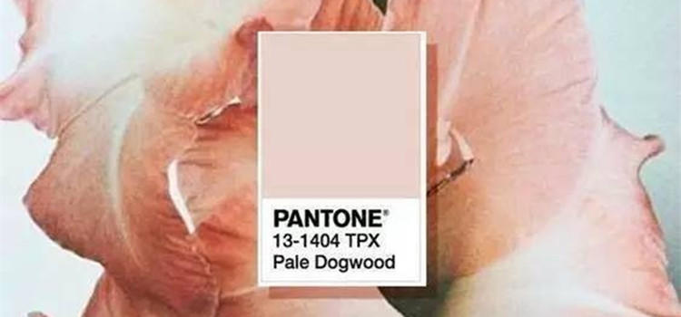 粉色美少女潮鞋合集,百搭小众学生粉鞋