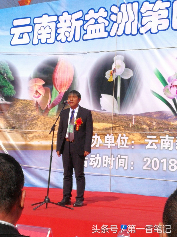 2018年昆明兰花展精品图片,云南兰花展作品欣赏