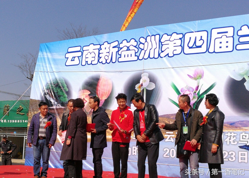 2018年昆明兰花展精品图片,云南兰花展作品欣赏