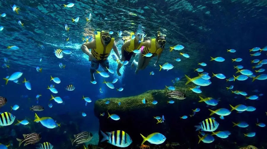 芽庄旅游攻略小清新,芽庄旅游小清新