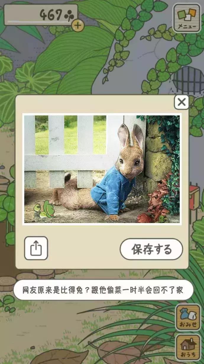 看完比得兔我们能感受到什么变化,看比得兔你学到了什么