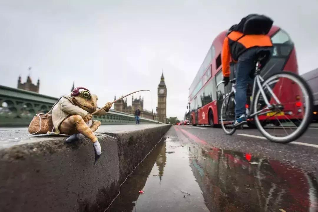 看完比得兔我们能感受到什么变化,看比得兔你学到了什么