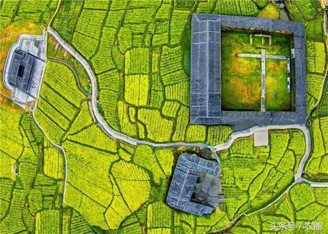 孕育了中华民族,孕育了什么样的文化