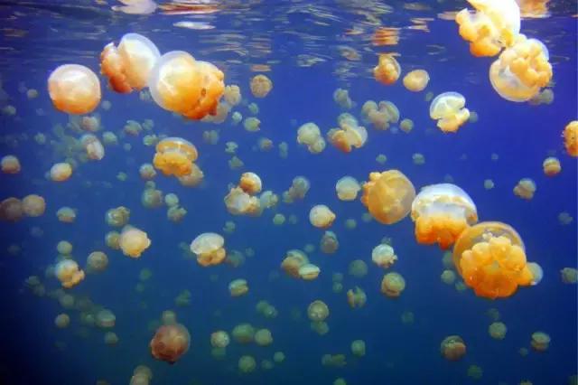 不用签证又不贵的旅游国家,无需签证小众旅游国家