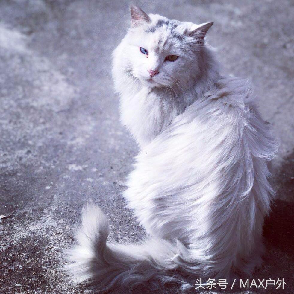 直面蜀山之王贡嘎,直面蜀山之王